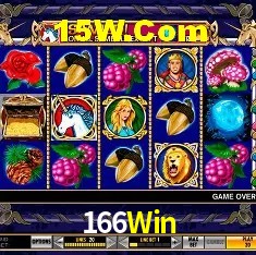 Estatísticas do Jogo 166Win